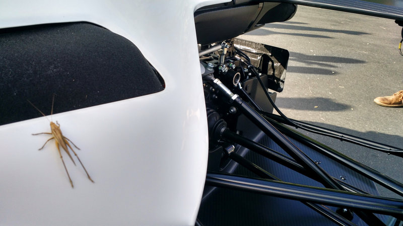 Illustration for article titled BAC Mono: A Grasshopper's Review
